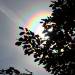 The Sun is dancing over the Ashram – 19 June 2011